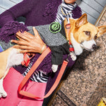 Dog Collar Kit.