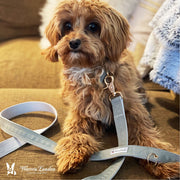 Fabric Dog Leash - Grey