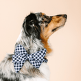 Load image into Gallery viewer, Leighton Dog Babe Bow
