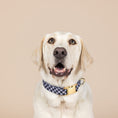 Load image into Gallery viewer, Leighton Dog Collar
