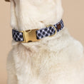Load image into Gallery viewer, Leighton Dog Collar
