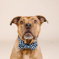 Load image into Gallery viewer, Leighton Dog Bow Tie
