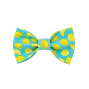 Lemon Bow Tie