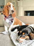 Load image into Gallery viewer, Let's Cuddle Luxe Flannel Dog Bandana

