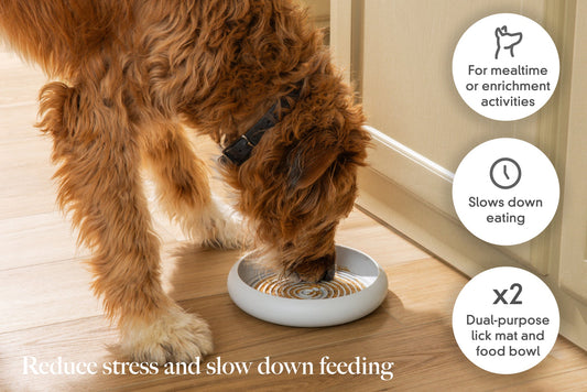 LAY LO Enrichment Lick Mat & Food Bowl