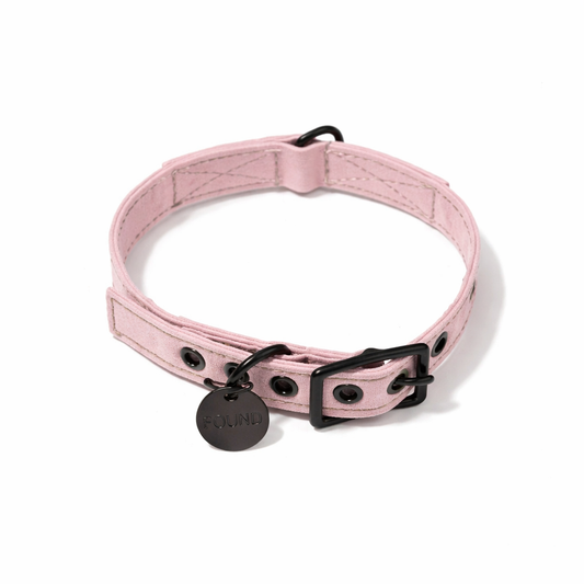 Light Pink Waxed Cotton Canvas Cat & Dog Collar – Matte Black Hardware