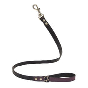 Lilac Desert Dog Leash