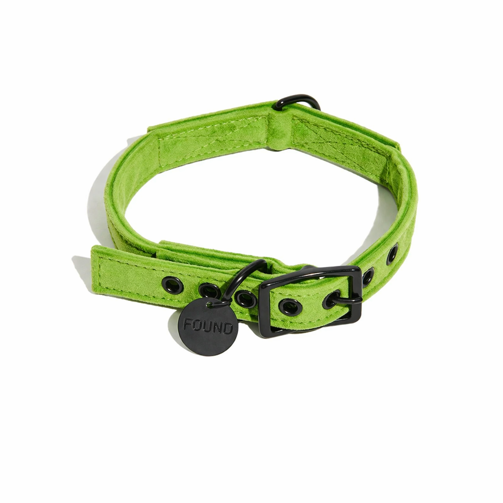 Lime Washable Velvet Cat & Dog Collar – Matte Black Hardware