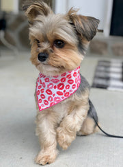 Lips & Kisses Valentine Bandana