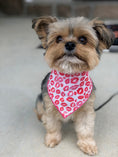 Load image into Gallery viewer, Lips & Kisses Valentine Bandana
