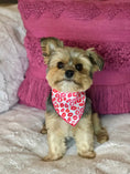 Load image into Gallery viewer, Lips & Kisses Valentine Bandana

