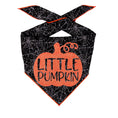 Load image into Gallery viewer, Little Pumpkin Web Halloween Dog Bandana
