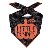 Little Pumpkin Web Halloween Dog Bandana