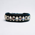 Load image into Gallery viewer, Liz Big Dog Collar Crystal
