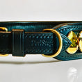 Load image into Gallery viewer, Liz Big Dog Collar Metallic Sunshine
