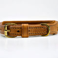 Load image into Gallery viewer, Liz Dog Collar Multicolored
