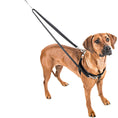 Load image into Gallery viewer, Rose Pink Freedom No-Pull Dog Harness
