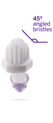 Professional Toothpaste London Broil Small & Professional Pet Toothbrush 