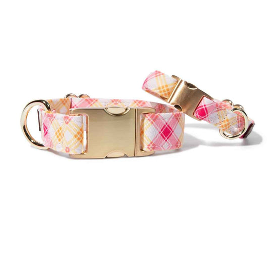 Lottie Dog Collar