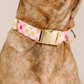 Load image into Gallery viewer, Lottie Dog Collar
