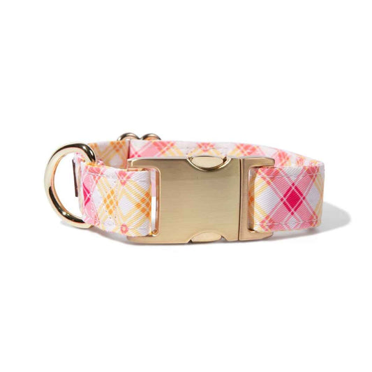 Lottie Dog Collar