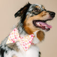 Load image into Gallery viewer, Lottie Dog Babe Bow
