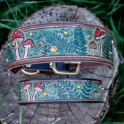 Fairytale Forest - Mushrooms and Ferns 