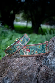 Fairytale Forest - Mushrooms and Ferns 