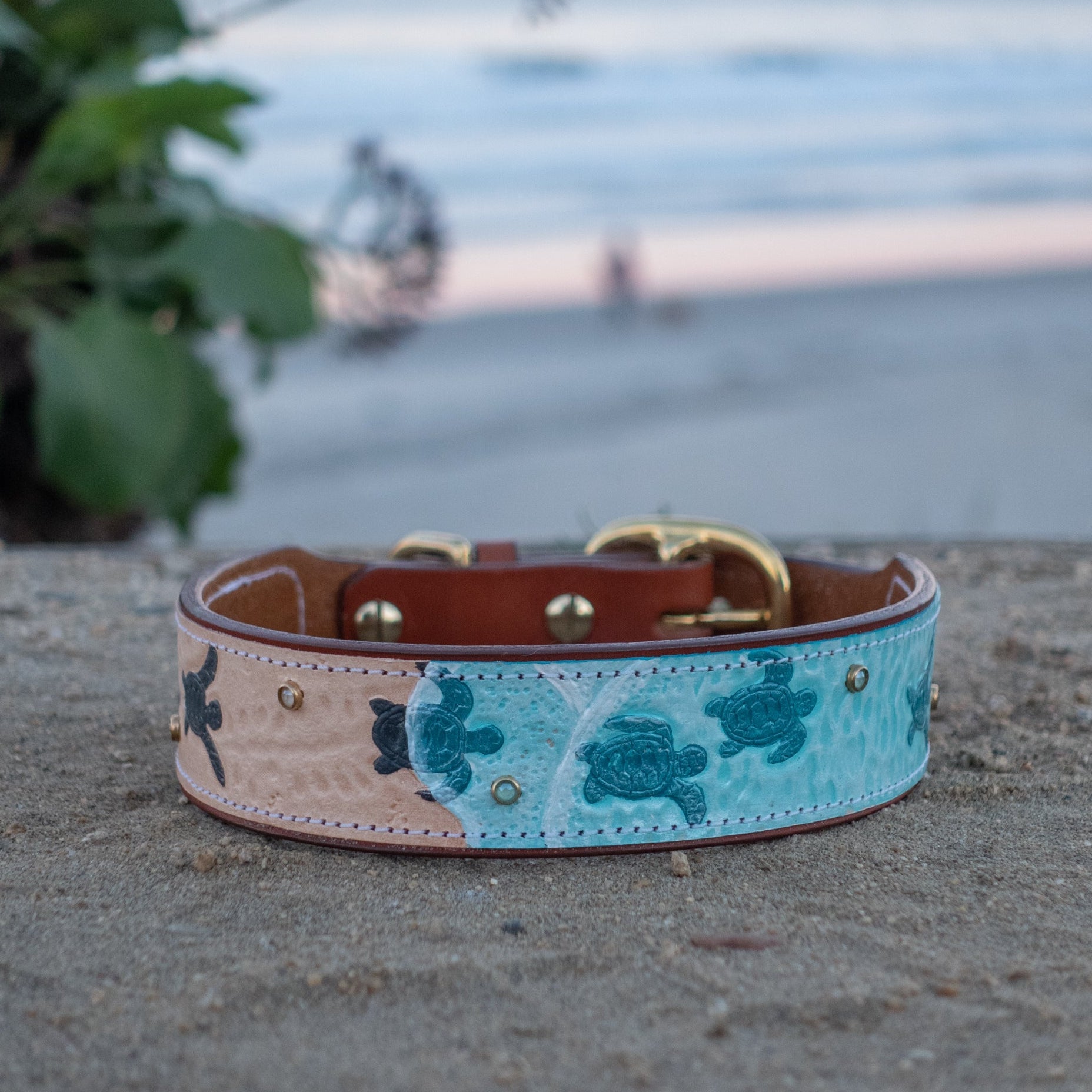 Sea Turtle Dog Collar - Southlake Paws