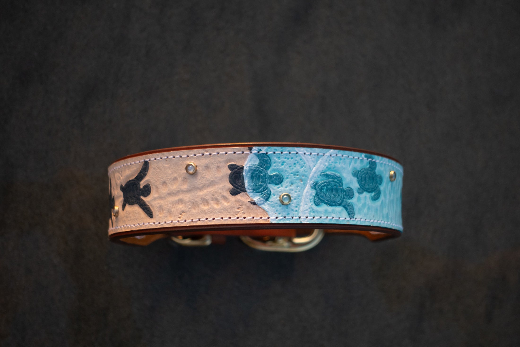 Sea Turtle Dog Collar - Southlake Paws