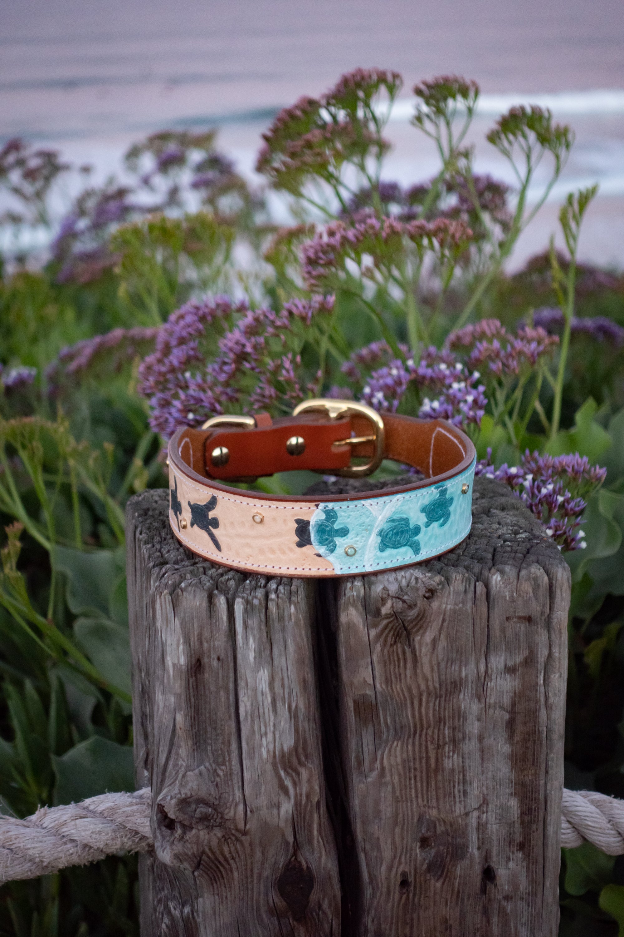 Sea Turtle Dog Collar - Southlake Paws