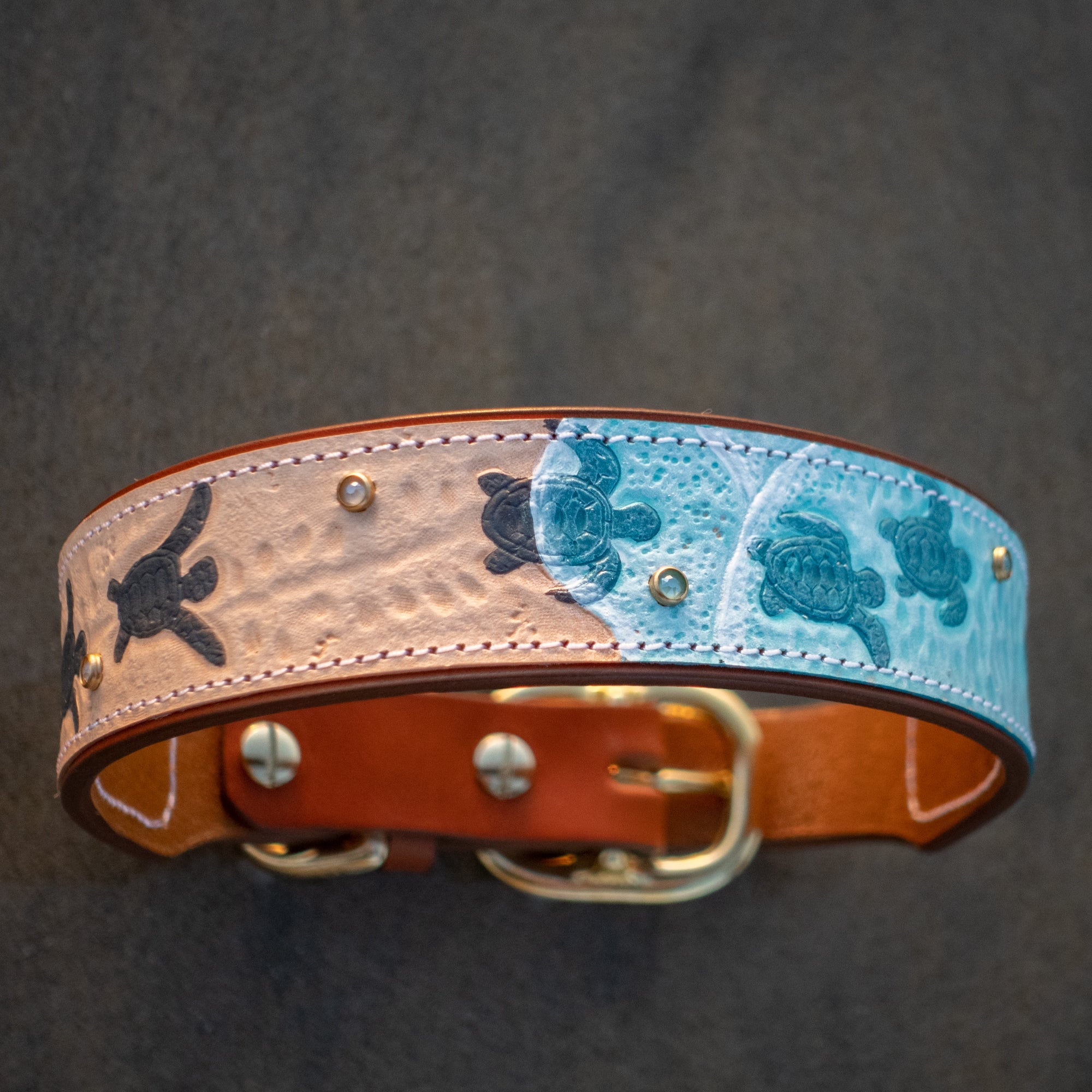 Sea Turtle Dog Collar - Southlake Paws