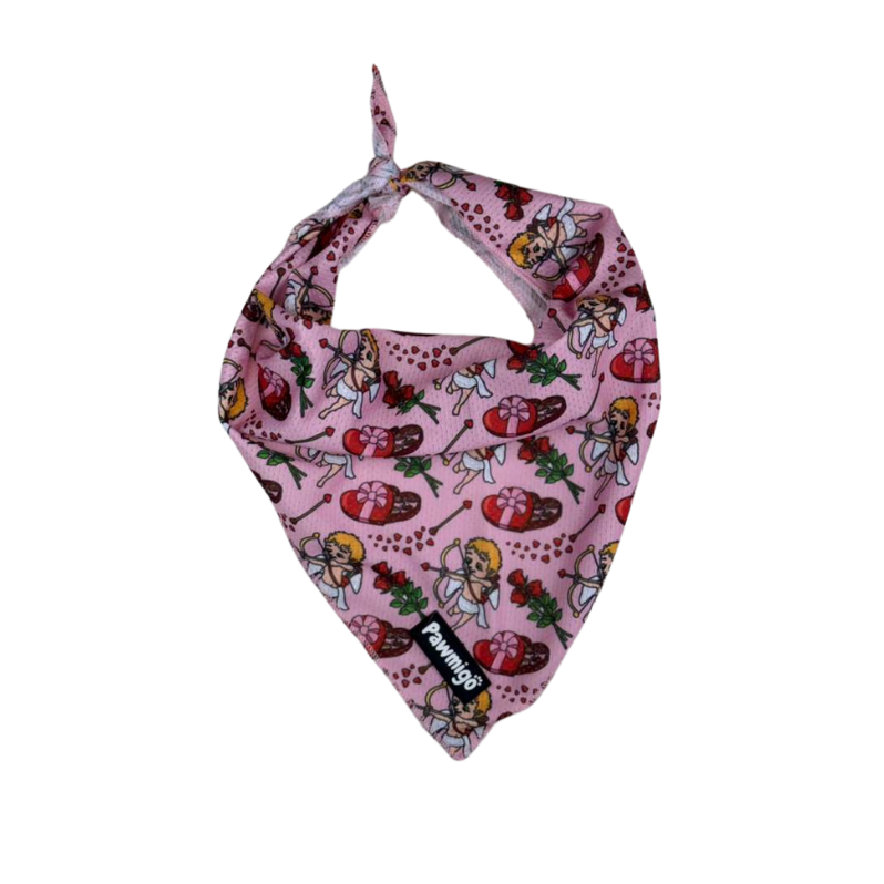 Lovestruck Bandana - Southlake Paws