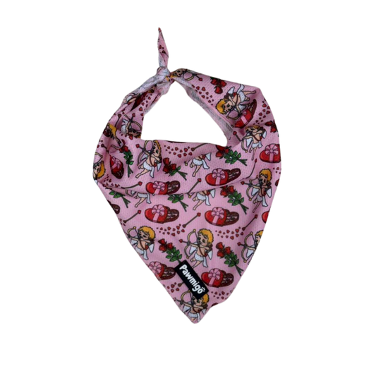 Lovestruck Bandana - Southlake Paws