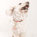 Load image into Gallery viewer, Love You Sweetheart Pet Charm
