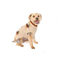 Load image into Gallery viewer, Lucky Duck Dog Sweater
