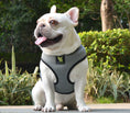 Load image into Gallery viewer, EcoBark Gray Dog Harness - Over-the-Head Dog Soft Mesh Vest Halter for Small to Medium Dogs and Puppies
