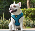 Load image into Gallery viewer, EcoBark Teal Dog Harness - Over-the-Head Soft Mesh Dog Vest Halter for Small to Medium Dogs and Puppies
