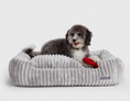 Load image into Gallery viewer, Luna Grey Lounge Bed
