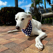 American Flag Bandana Dog Collar