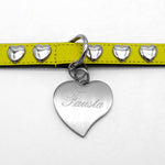 Heart tag for dogs