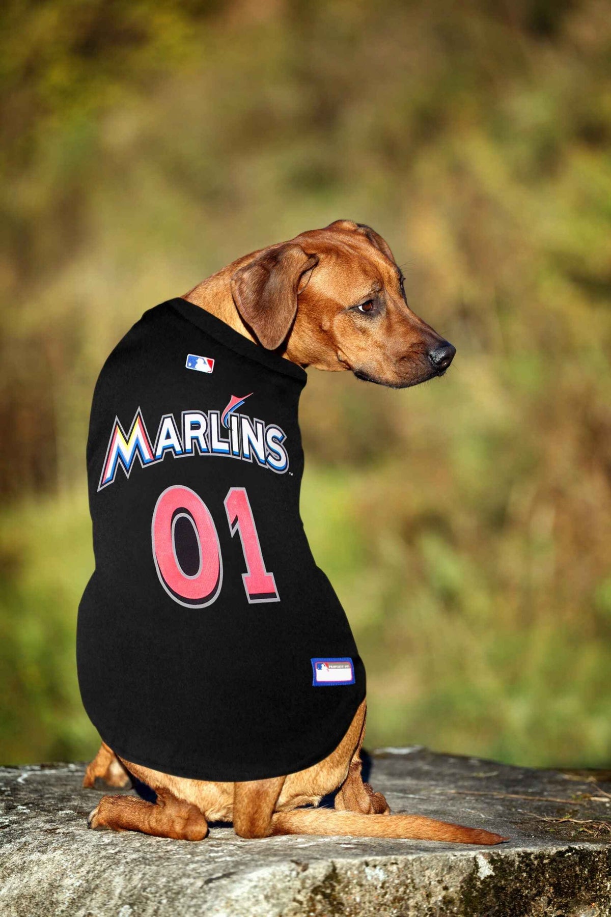 MLB Miami Marlins Mesh Dog Jersey