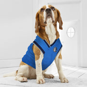 Dallas Mavericks Dog Jersey
