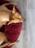 Load image into Gallery viewer, POD DOG BED - Southlake Paws
