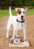 Load image into Gallery viewer, New York Mets Nylon Baseball Rope Toy
