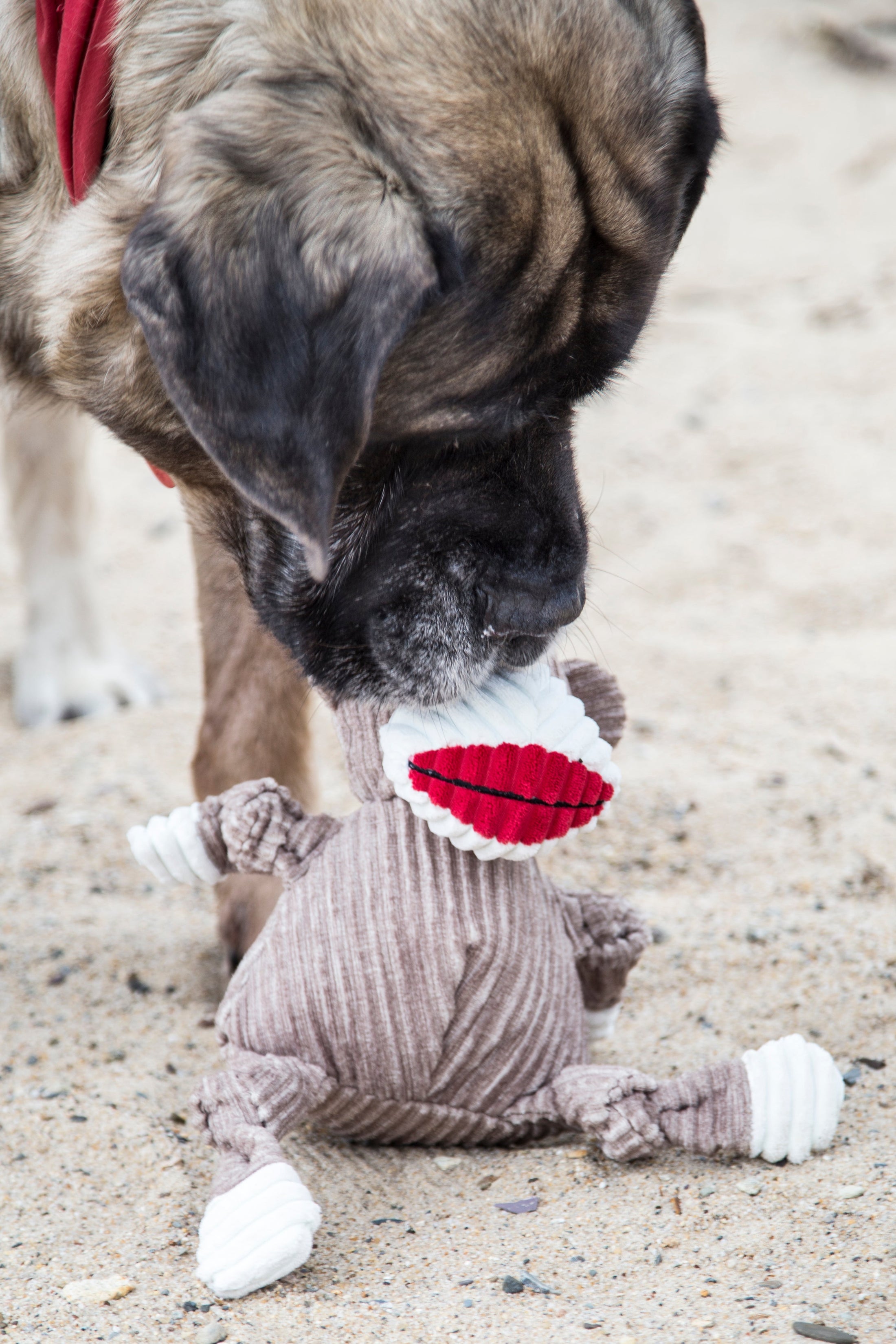 Stuey Sock Monkey Knottie®  Plush Dog Toy - image 10