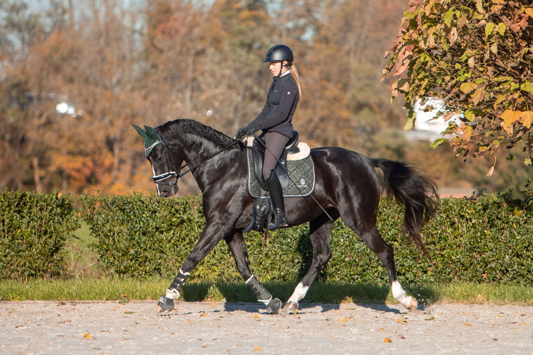 Jade Green Saddle Pad Set