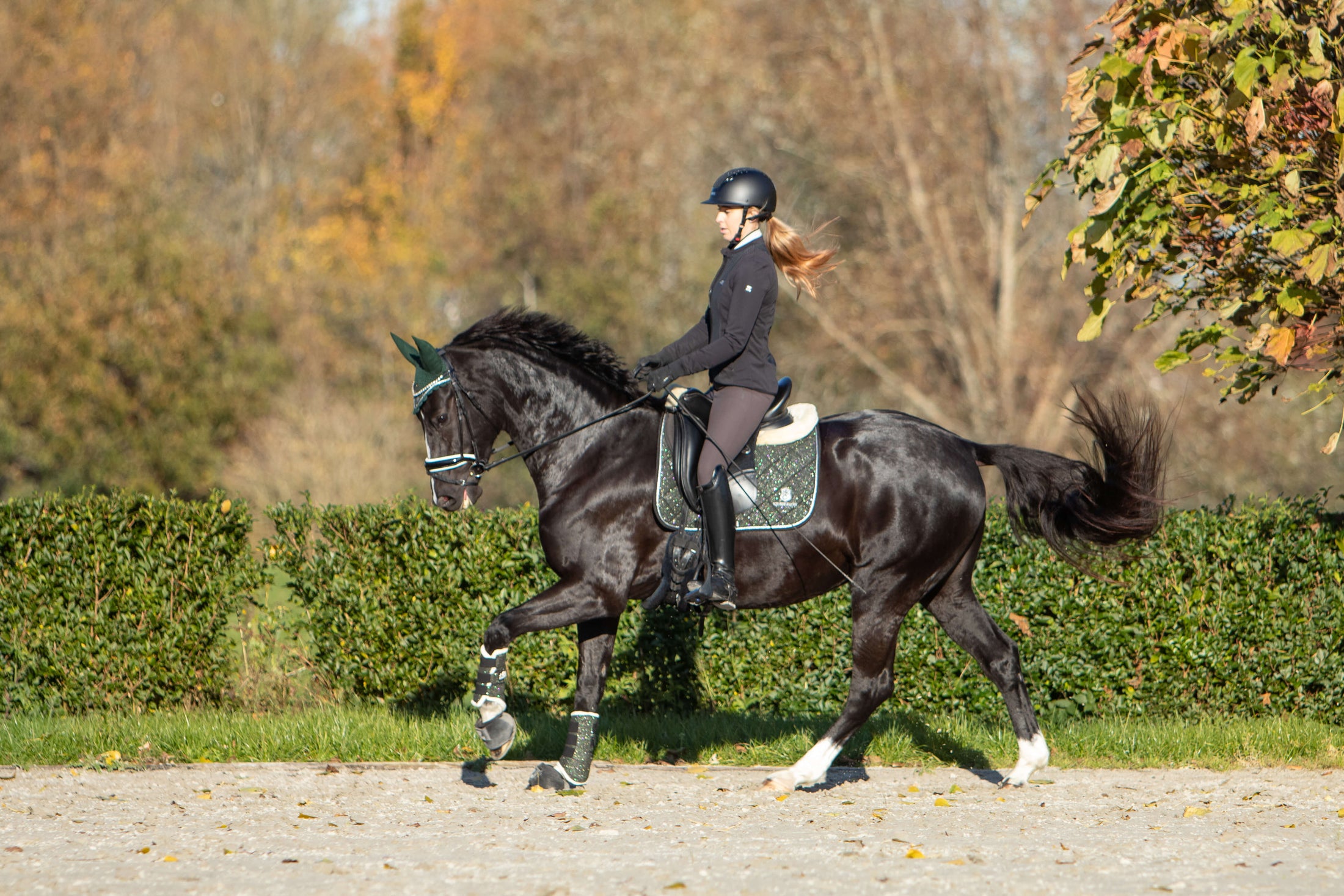 Jade Green Saddle Pad Set