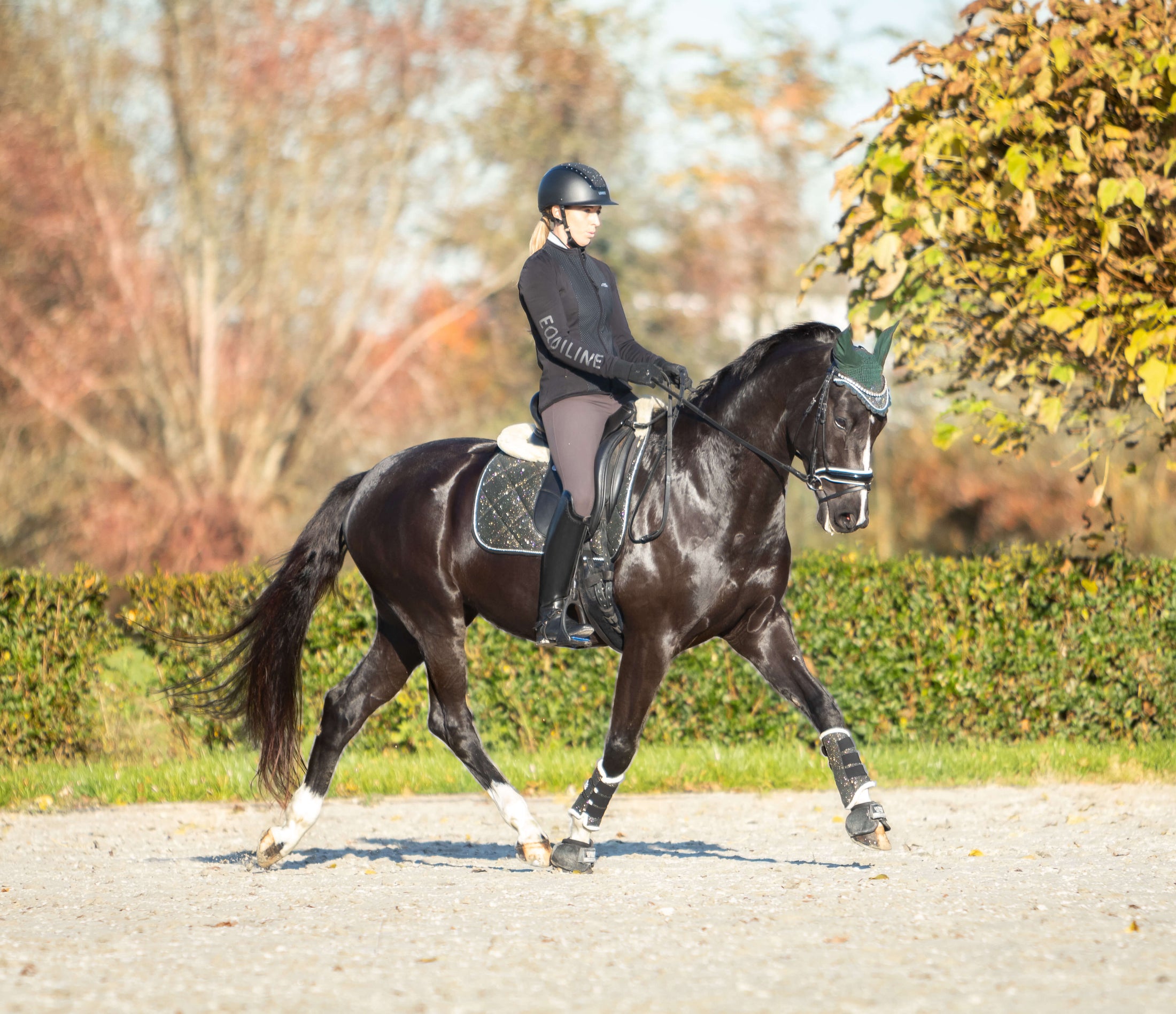 Jade Green Saddle Pad by Southlake Paws on a black horse, rider in black attire, trotting in an outdoor arena.