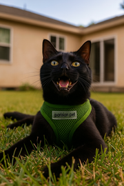 Parisian Pet 'Freedom Harness Green' for Dogs & Cats – Customizable Green Pet Harness, Soft and Durable Dog Harness for Walking
